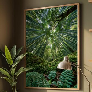 Kyoto Photography Poster | Arashiyama Bamboo Forest Print | Magical Green Landscape Wall Art
