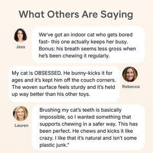 May include: Image featuring the text "What Others Are Saying" and three customer reviews about a cat product. The reviews are in speech bubbles, with customer names and profile pictures.