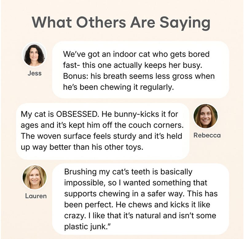 May include: Image featuring the text "What Others Are Saying" and three customer reviews about a cat product. The reviews are in speech bubbles, with customer names and profile pictures.