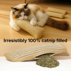 May include: A cat is shown with a catnip-filled toy. The rectangular toy is beige with a textured surface and yellow trim. The text "Irresistibly 100% catnip filled" is displayed. Another toy is shown with catnip spilling out.