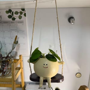 May include: A whimsical, cream-colored planter shaped like a smiling character, complete with arms, legs, and a small, dark brown swing. The planter holds green leafy plants and is suspended by twine.