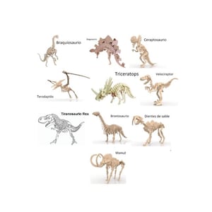 May include: A collection of dinosaur skeleton models, including a Tyrannosaurus Rex, Triceratops, and Brachiosaurus. The models are beige and white, with the names of the dinosaurs written above them. The word "Triceratops" is in the center.