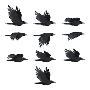 May include: A collection of nine illustrations of black crows in various stages of flight against a white background. The crows are depicted with their wings spread, in mid-air, and in different positions.