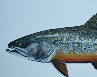 Brook Trout Watercolor & Gouache Painting print