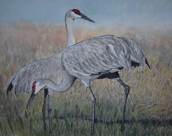 Sandhill Cranes Watercolor & Gouache Painting print