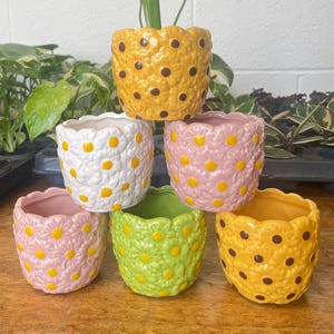May include: Six small, colourful ceramic flower pots are stacked. The pots are in shades of yellow, white, pink, and green, each with a textured surface and a pattern of yellow or brown dots. A plant with green leaves sits in the top yellow pot.