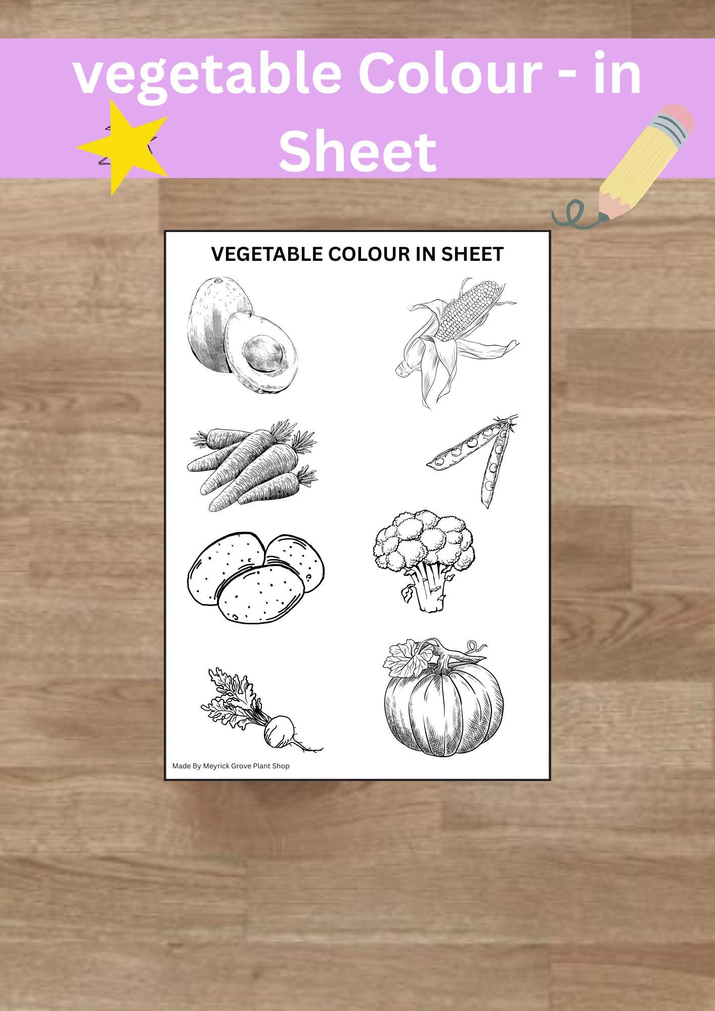 Vegetable Colour in Printable Sheet. - Etsy Canada