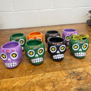 May include: A collection of eight small ceramic skull-shaped planters in various colours including purple, green, orange, and black. Each skull features hand-painted floral details around the eye sockets and a row of white teeth on the lower jaw.