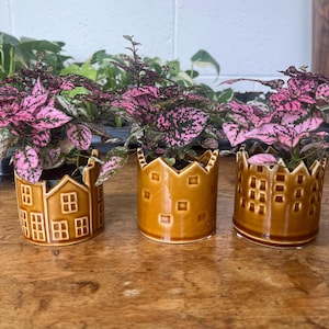 May include: Three small, decorative ceramic planters in a warm brown colour, each holding a vibrant plant with pink and green speckled leaves. The planters have unique architectural designs, resembling houses and buildings.