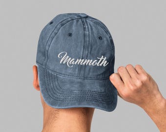 ヴィンテージ ユタ マンモス ハット、レトロな NHL キャップ、90 年代アイスホッケーチームギア、スポーツギフト