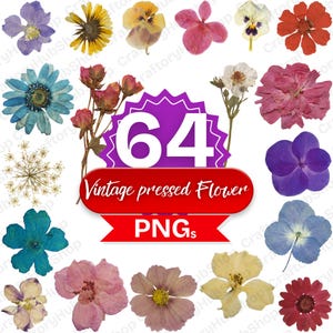 Peut inclure: Une collection de 64 PNG de fleurs pressées vintage de différentes couleurs et formes. L'image comprend une variété de fleurs, telles que des pensées, des marguerites et des roses. Le texte "Vintage pressed Flower PNGs" est affiché.