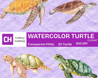 23 Turtle Watercolor Clipart Sea Animal Png Clipart Ocean Marine Life Printable Images Cute Turtle Clipart Set Digital Download