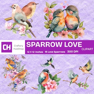 Może przedstawiać: Akwarelowa grafika wektorowa przedstawiająca kolorowe wróble na gałęziach z różowymi kwiatami. Obraz zawiera tekst "SPARROW LOVE" oraz szczegóły: 30,5 x 30,5 cm, 15 zakochanych wróbli i 300 DPI.