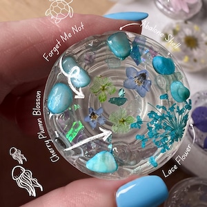 Sommer Abalone Muschel Handy Griff | Gepresste Vergissmeinnicht, Queen Anne's Lace Blumen