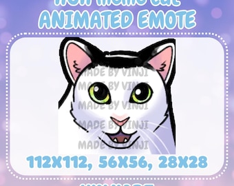 HUH Cat Meme Animated Emote For Twitch, Discord, Youtube (Digital Download)