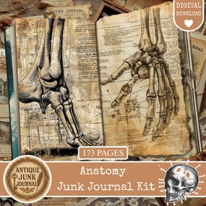 Puede incluir: Un kit de diario digital de estilo vintage. Las páginas abiertas muestran ilustraciones anatómicas detalladas de un pie y una mano, superpuestas sobre papel envejecido con elementos de mapa. El kit incluye 173 páginas y el texto "Anatomy Junk Journal Kit".