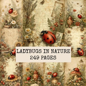 Könnte beinhalten: Eine Sammlung botanischer Illustrationen im Vintage-Stil mit roten Marienkäfern, Wildblumen, Pilzen und Laternen auf gealtertem Pergamentpapier. Der zentrale Text lautet LADYBUGS IN NATURE 249 PAGES, eingebettet in eine florale Collage.