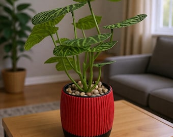 Minimalist flowerpot | Two-tone modern 3D-printed flowerpot | Design pot | Flowerpot