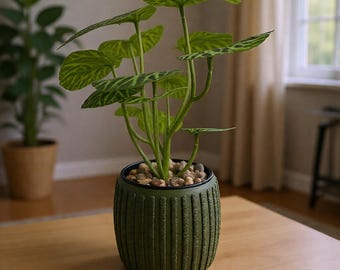 Minimalist flowerpot | Modern 3D-printed flowerpot | Designer pot | Flowerpot