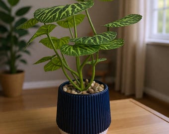 Minimalist flowerpot | Two-tone modern 3D-printed flowerpot | Design pot | Flowerpot