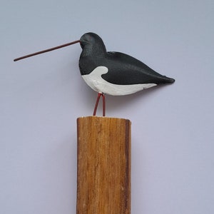Metal and Wood Oystercatcher Bird Decoration - Coastal Theme