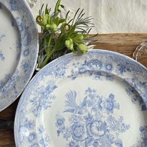 May include: Two antique white and blue floral patterned plates. The plates feature a detailed floral design in blue against a white background. The plates are on a wooden surface with greenery.