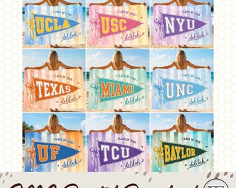 Aangepaste universiteit png wimpel strandlaken, schoolgeest zwembadhanddoek, coquette college wimpel vlaghanddoek, klasse van 2026 senior team cadeau