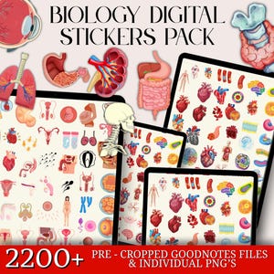 Puede incluir: Paquete de pegatinas digitales con ilustraciones de anatomía humana, incluyendo el corazón, los pulmones y el cerebro. La imagen incluye el texto "BIOLOGY DIGITAL STICKERS PACK" y "2200+". Las pegatinas son archivos Goodnotes precortados y PNG individuales.