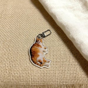 May include: A clear acrylic keychain featuring a ginger and white cat. The cat is lying down with its paws tucked in. The keychain has a silver-colored clasp. The background is a tan woven fabric and a white cloth.