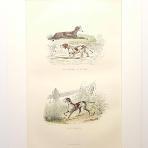 Op de afbeelding: Ingelijste vintage prent met drie hondenillustraties. De bovenste illustratie toont een bruine hond die ligt. De middelste illustratie toont een gevlekte hond. De onderste illustratie toont een gevlekte hond die rent. De tekst hieronder luidt "CHIEN BRAQUE."