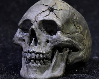May include: A detailed, gray, sculpted human skull with a crack on the top of the head. The skull is made of a hard, durable material and has a realistic appearance.