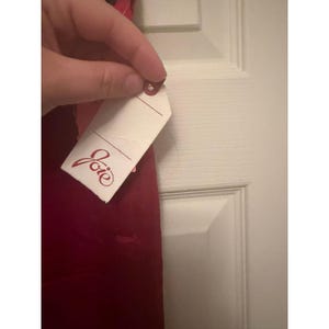 Joie Vintage NEW 195 Bandit Red 100% Silk Cropped Pants Buckle Detail Size 6 image 6