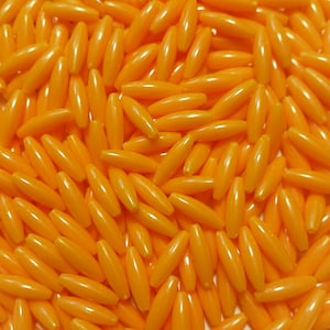 May include: A close-up shot displays a multitude of small, orange, oval-shaped beads. These beads have a glossy finish and are scattered across the frame, creating a dense, textured pattern. The uniform color and shape suggest they are for crafting or jewelry making.