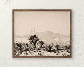 Desert Landscape Art Print – Black and White Yucca, Mountain Scene