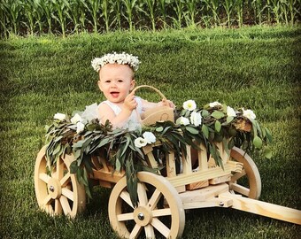 baby flower girl wagon