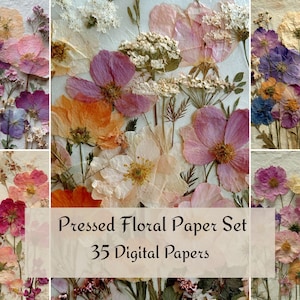 Puede incluir: Un conjunto de papeles florales prensados con una variedad de flores secas coloridas. La imagen incluye flores rosas, moradas, naranjas y blancas. El texto en la imagen dice "Pressed Floral Paper Set 35 Digital Papers."