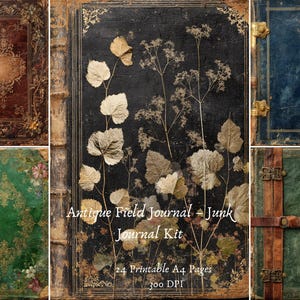 Pode incluir: Uma colagem de capas de diários antigos. A capa central é preta com ilustrações botânicas e o texto "Antique Field Journal - Junk Journal Kit". Outras capas são castanhas, verdes e azuis com desenhos ornamentados.
