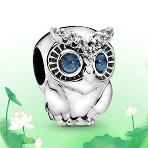 May include: A silver owl charm with blue eyes and sparkling accents on the head. The owl has a detailed design and is set against a soft green background with white lotus flowers.
