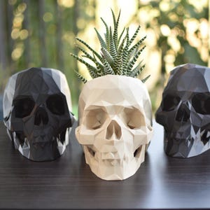 May include: Three geometric skull planters. The central skull is off-white and contains a succulent plant. The other two skulls are black. All three are on a dark brown surface.