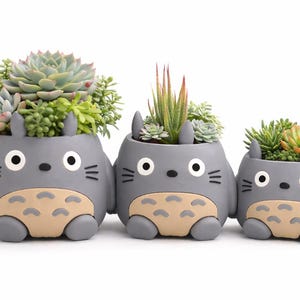 Jardinière Spirit of the Forest - Pot de plantes succulentes et de plantes kawaii (4 tailles)