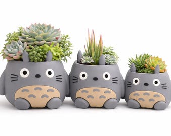 Vaso Espírito da Floresta – Vaso Kawaii para Suculentas e Plantas (4 Tamanhos)