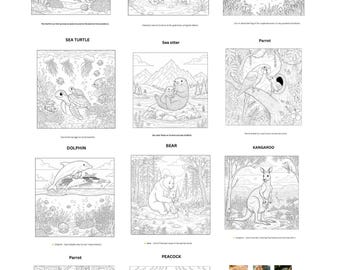 Ausmalbilder Tiere mit Fakten: Homeschool Mini-Spiel (PDF)