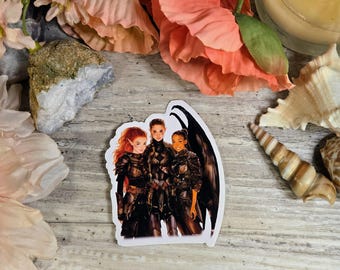 ACOTAR Valkyries Vinyl Decal Sticker: Night Court, Velaris