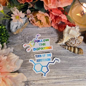 ADHD, ADD, Executive Dysfunction, Neurodiversity, Neurospicy, Vinyl Decal, Sticker, Dopamine, Neurodivergent, ODD Molecule Set