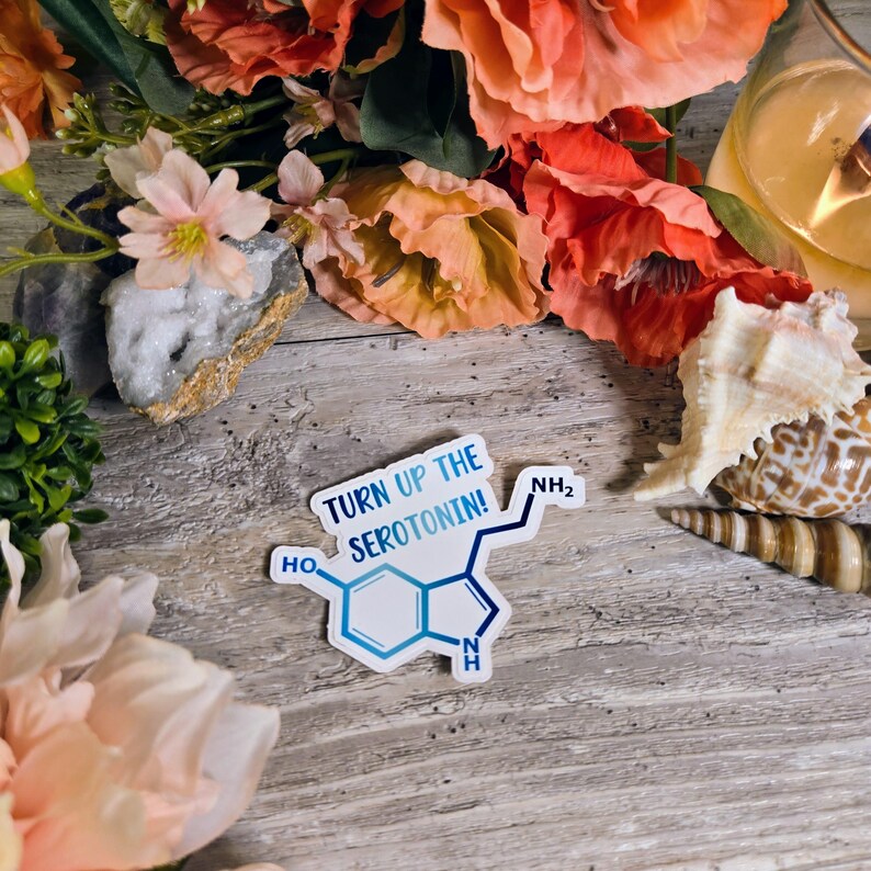 ADHD, ADD, Executive Dysfunction, Neurodiversity, Neurospicy, Vinyl Decal, Sticker, Dopamine, Neurodivergent, ODD Turn up Serotonin