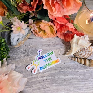 ADHD, ADD, Executive Dysfunction, Neurodiversity, Neurospicy, Vinyl Decal, Sticker, Dopamine, Neurodivergent, ODD Follow the Dopamine