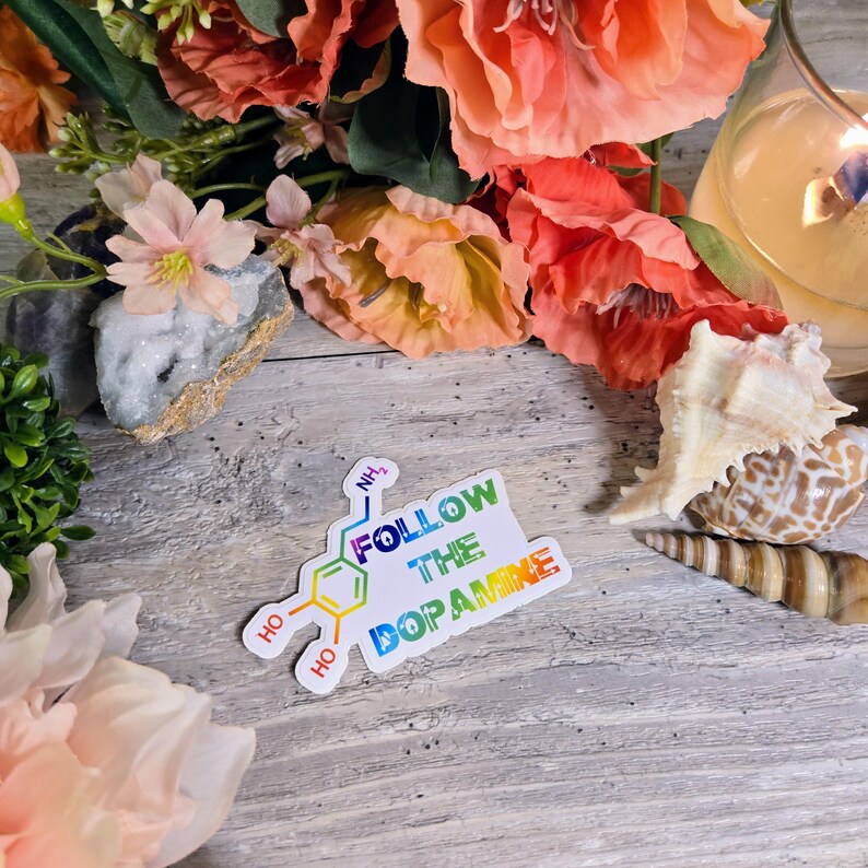 ADHD, ADD, Executive Dysfunction, Neurodiversity, Neurospicy, Vinyl Decal, Sticker, Dopamine, Neurodivergent, ODD Follow the Dopamine