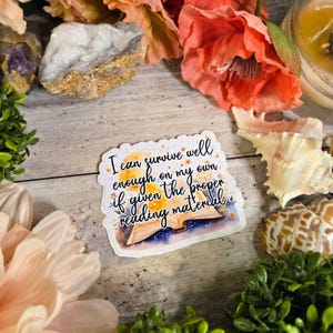 Throne of Glass Vinyl Sticker: Manon Blackbeak, The Thirteen Reading Quote