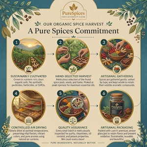 May include: An illustrated infographic for PureSpices, detailing their organic spice harvest process. The image shows steps from cultivation to packaging, including hand-selected harvest, artisanal gathering, and quality assurance. The text reads "Pure Ingredients, Naturally Better."