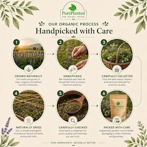 May include: An infographic detailing the organic process of PurePlanted herbs. The process includes growing, handpicking, collecting, drying, checking, and packing. The image features a bag of herbs and text that reads "Pure Ingredients, Naturally Better."